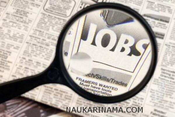 जॉब डाइजेस्ट 19 Feb 2019 –बीएड पास आवेदको के लिए सरकारी नौकरी का सुनहरा अवसर
