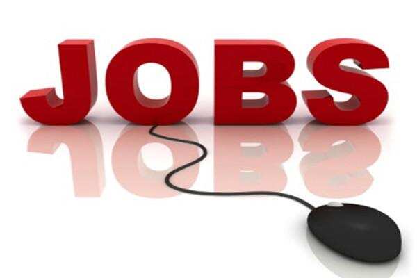 10वीं,12वीं पास के लिए खुला सरकारी नौकरी का पिटारा,जल्द करें आवेदन