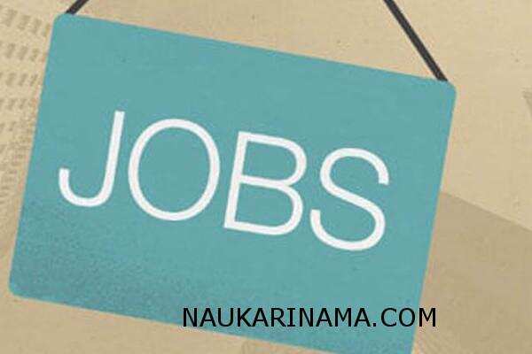 जॉब डाइजेस्ट 5 March 2019 – अगर आप सरकारी नौकरी की तलाश में हैं,तो यहां करें जल्द से जल्द आवेदन