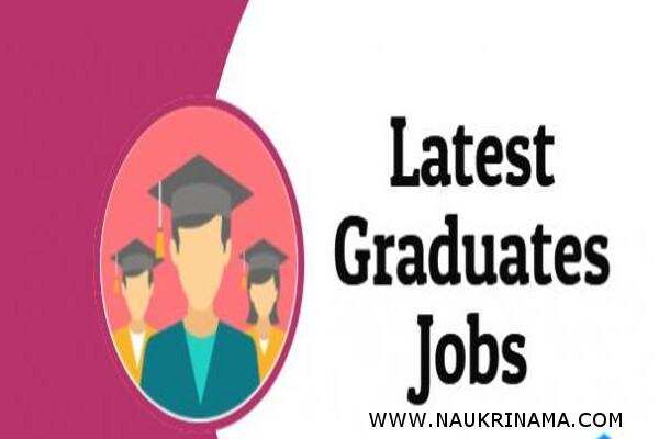 जॉब डाइजेस्ट 23 Feb 2019- स्नातक पास के पास ऐसा मौका सरकारी नौकरी पाने का, इस मौके को हाथ से जाने दें आज ही आवेदन करें