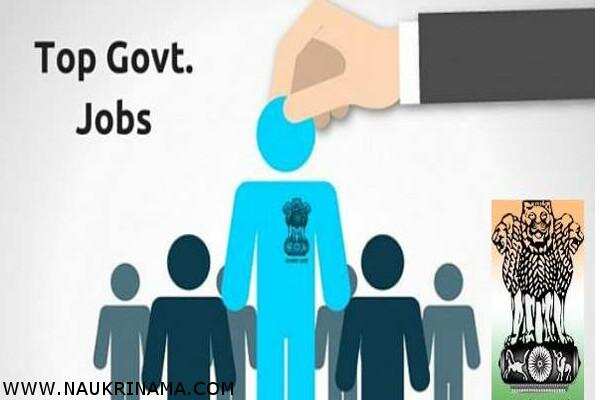 जॉब डाइजेस्ट 23 Feb 2019- स्नातक पास युवाओं के लिए भारत के सबसे बड़े विभाग में निकली बम्पर भर्तियां