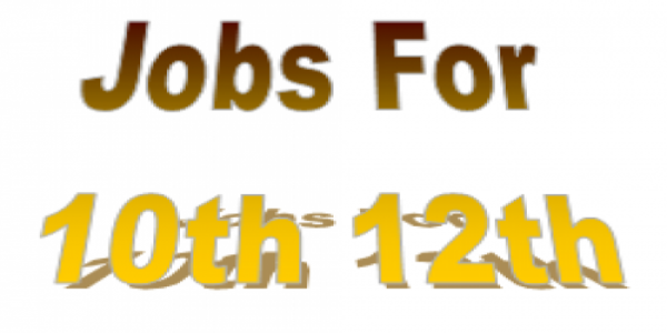 पुलिस विभाग में निकली 10वीं से स्नातक पास के लिए भर्तियां, अंतिम तिथि से पहले करें आवेदन