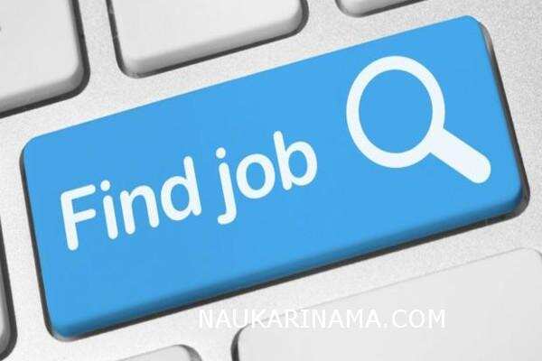 जॉब डाइजेस्ट 31 March 2019 –हजारों पदो पर बैंकिंग भर्ती,इंजीनियरिंग भर्ती,रेलवे भर्ती,पुलिस भर्ती के लिए 8वीं से डिप्लोमा पास आवेदक करे तुरंत ही आवेदन