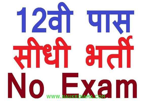 जॉब डाइजेस्ट 4 November 2019- 12वीं पास राजस्थान के बेरोजगार युवाओं के लिए निकली बम्पर सरकारी भर्तियां, युवा करें आवेदन