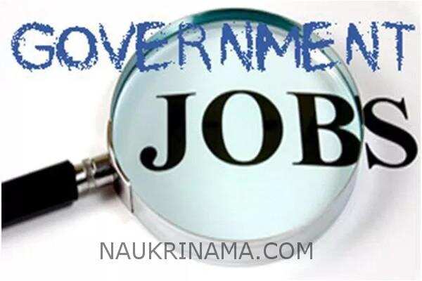 जॉब डाइजेस्ट 19 अप्रैल 2019 :- ड्राइवर, डाक विभाग, स्वीपर के लाखों पदों पर निकली भर्तियॉ, योग्य उम्मीदवार जल्द करें आवेदन