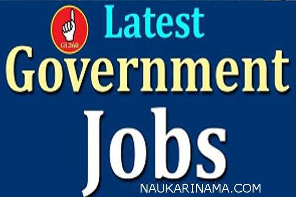 जॉब डाइजेस्ट 2 अप्रैल 2019-बड़ी खुशखबरी:पंजाब सरकार ने निकाली प्रोफेसर, एसोसिएट प्रोफेसर, जूनियर रेजीडेंट,शिक्षक के पदों पर बंपर सरकारी नौकरी,मेडिकल पास आज ही करें आवेदन