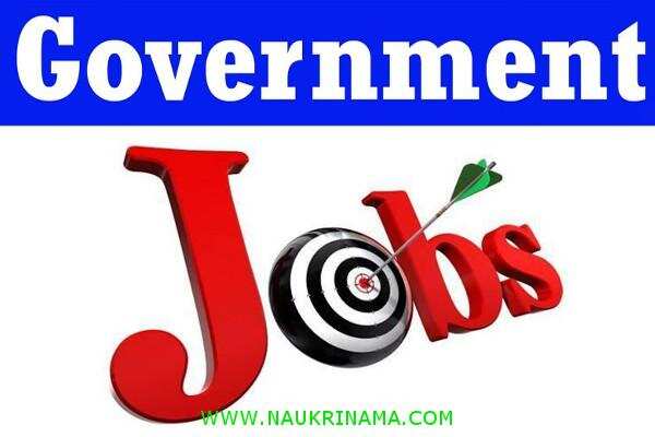 जॉब डाइजेस्ट 11 September 2019- क्लर्क, विशेषज्ञ, इंजीनियर आदि विभिन्न सरकारी रिक्त पदों पर निकली भर्तियां