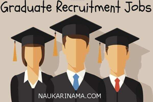 जॉब डाइजेस्ट 14 March 2019-10वी,12वीं,स्नातक पास बेरोजगार युवाओ के लिए टेक्नीशियन,स्टाफ नर्स,राइफलमैन,वन चौकीदार के पदों पर हजारों वैकेंसी,करें आज ही आवेदन