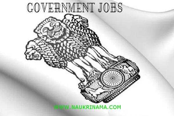 जॉब डाइजेस्ट 15 August 2019- आजादी के साथ अपनी नौकरी से संबंधित समस्या से भी पाएं आजादी, सरकार दे रही हैं मौका नौकरी पाने का