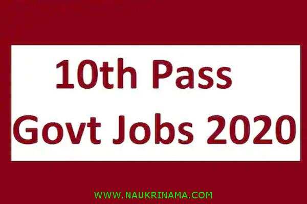 जॉब डाइजेस्ट 7 June 2020:- वन विभाग झारखंड ने 10वी पास के लिए निकाली सरकारी भर्तियां, 10वीं पास करें आवेदन और पाए नौकरी