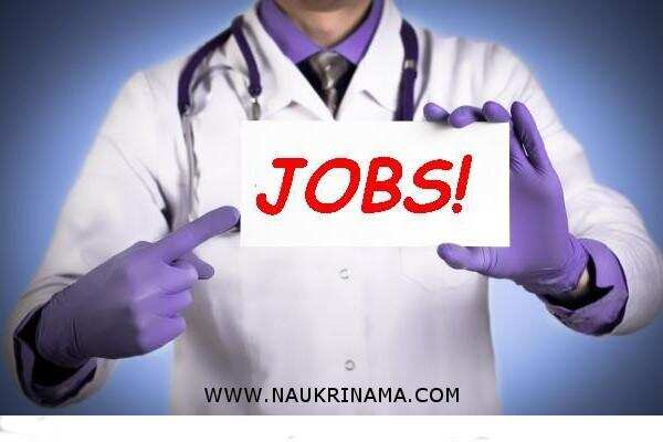 जॉब डाइजेस्ट 19 Feb 2019- आज ही आवेदन करें और बने सरकारी डॉक्टर, ऐसा मौका फिर कभी नहीं मिलेगा