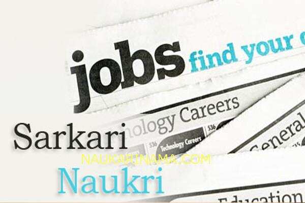जॉब डाइजेस्ट 29 March 2019- एग्जिक्यूटीव ट्रेनी,मैनेजर, सहायक प्रोफेसर  के पदों पर युवाओं के लिए बंपर सरकारी नौकरियां,10वीं से डिप्लोमा पास आज ही करें आवेदन