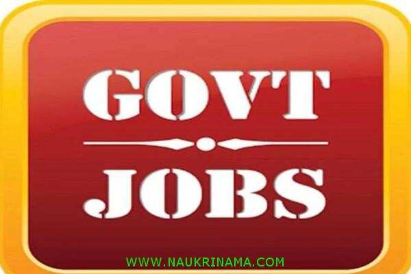 जॉब डाइजेस्ट 28 March 2020:- आज आवेदन नहीं किया तो हाथ से निकल जाएगा सरकारी नौकरी पाने का, आज ही आवेदन करें और पाए नौकरी