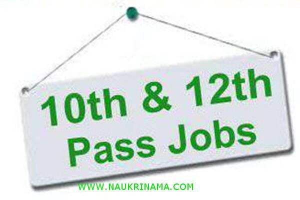 जॉब डाइजेस्ट 02 April 2019- बिना वक्त गवाएं 8वीं, 10वीं, 12वीं पास युवा क्लर्क, सुपरवाइजर, नर्स आदि पर निकली बम्पर सरकारी भर्तियों पर आवेदन करें