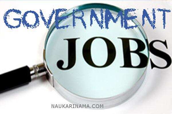 जॉब डाइजेस्ट 11 Feb 2019 –युवा वर्ग के लिए खुशखबरी,निकली बड़ी संख्या मे वैकेंसी
