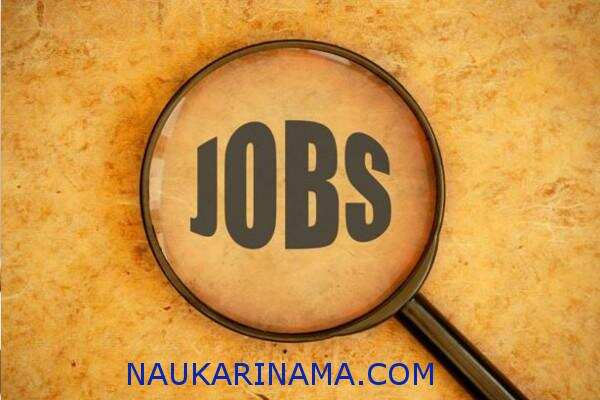 जॉब डाइजेस्ट 25 Feb 2019 -बीएड पास इन बंपर पदों पर अप्लाई कर पा सकते हैं सरकारी नौकरी