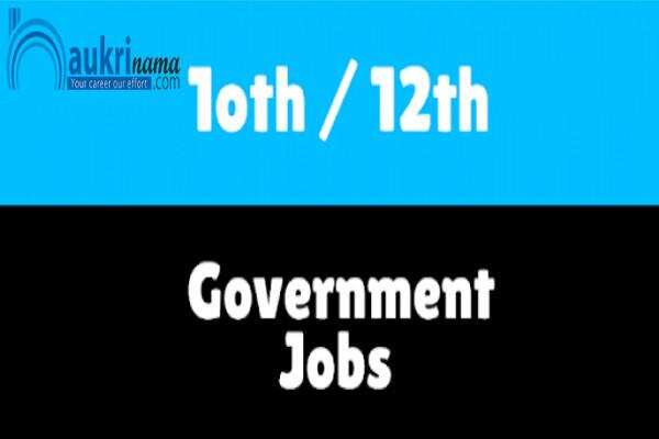 जॉब डाइजेस्ट 24 July 2020:- राजस्थान उच्च न्यायालय में 12वीं पास के लिए निकलाी भर्तियां, अंतिम तिथि हैं नजदीक आज ही आवेदन करें