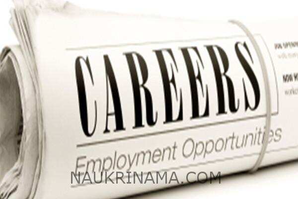 जॉब डाइजेस्ट 19 सितंबर 2019 : – इन सरकारी पदों पर निकली बम्पर भर्तियॉ, जल्द करें आवेदन