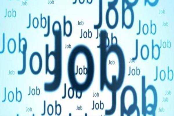 12वीं पास के लिए जेल विभाग  मे बंपर पदों पर सरकारी नौकरी,करें आज ही आवेदन