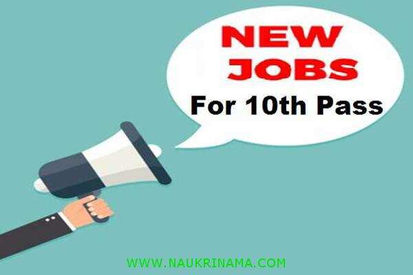 जॉब डाइजेस्ट 02 October 2019- 8वीं, 10वीं, 12वीं और स्नातक डिग्री धारक पास फिर नहीं होगा ऐसा मौका सरकारी पाने का फिर नहीं मिलेगा
