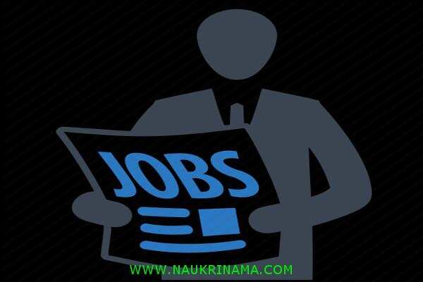 जॉब डाइजेस्ट 19 May 2020:- 10वीं पास के लिए मुबंई के नगर निगम में निकली हैं हजारों पदों पर भर्तियां, योग्य युवा करें आवेदन