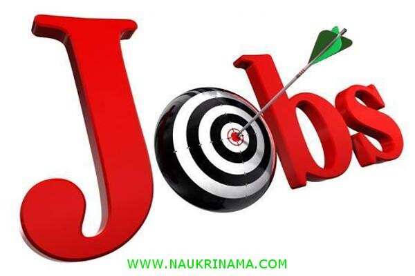 जॉब डाइजेस्ट 28 May 2020:- 10वीं से स्नातक पास युवाओं के लिए निकली हैं सरकारी पदों पर भर्तियां, आवेदन करें और पाए नौकरी