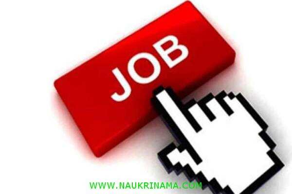 जॉब डाइजेस्ट 16 October 2019- ऐसा मौका फिर नहीं मिलेगा आपको सरकारी नौकरी पाने का और अपने सपने पूरे करने का, जल्द करें आवेदन