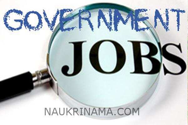जॉब डाइजेस्ट 10 अगस्त 2019 :- आप कर सकते हैं अपने बच्चों के भविष्य को सुरक्षित, आप के लिए निकली हैं बम्पर पदों पर भर्तियॉ