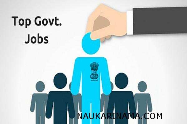 जॉब डाइजेस्ट 15 March 2019- 10वीं पास युवक-युवतियो के लिए होमगार्ड ,राइफलमैन,ट्रेनी,क्लर्क, आंगनबाड़ी वर्कर के हजारों पदों पर सीधी भर्तियां,करें अभी अप्लाई