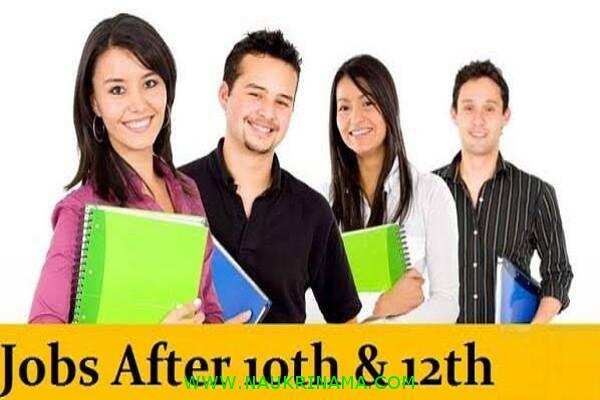 जॉब डाइजेस्ट 11 November 2019- यह विभाग दे रहा हैं 8वीं पास बेरोजगार युवा को सरकारी नौकरी सुनहरा अवसर, हाथ से जाने ना दे मौका