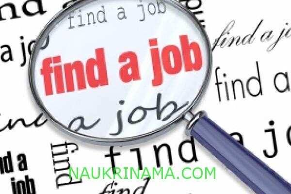 जॉब डाइजेस्ट 30 अप्रैल 2019 :- क्लर्क, नर्स, स्टेनोग्राफर तकनीशियन के लाखों पदों पर नौकरियों का खुला पिटारा, वेतन – 1,20,000/- प्रतिमाह