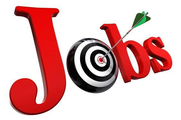 सरकारी नौकरी की तलाश कर रहें युवाओ के लिए खुशियों की लहर, निकली हैं बंपर पदों पर भर्तियां