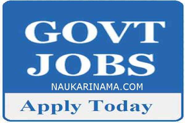 जॉब डाइजेस्ट 1 March 2019 –10वीं पास के लिए सरकारी नौकरी का खुला पिटारा