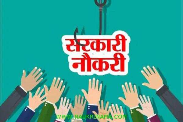 जॉब डाइजेस्ट 13 May 2020:- अगर अभी नहीं किया आवेदन तो हाथ से निकल जाएगा सरकारी नौकरी पाने का ऐसा मौका