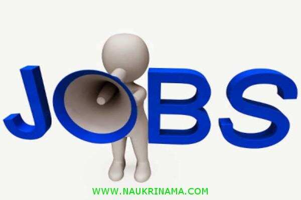 जॉब डाइजेस्ट 3 January 2020- फिर नहीं मिलेगा ऐसा मौका सरकारी संस्थान में ट्रेनिंग कर अपने कौशल को बढ़ाने का, आज ही आवेदन करें