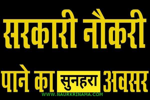 जॉब डाइजेस्ट 25 July 2019- ना करें अंतिम तिथि का इंतजार, आज ही इन पदों के लिए आवेदन करें, कहीं हाथ से निकल ना जाएं मौका