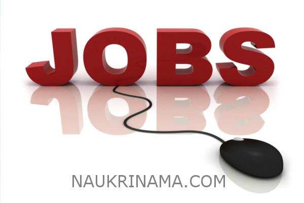 जॉब डाइजेस्ट 22 जून 2019 :- तकनीशियन.इलेक्ट्रीशियन, क्लर्क,नर्स के हजारों पदों पर भर्तियॉ, 08वीं, 10वीं पास करें आवेदन