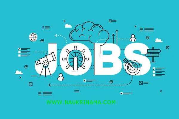 जॉब डाइजेस्ट 29 April 2019- ऐसा मौका 8वीं, 10वीं, 12वीं पास युवाओं के लिए सरकारी नौकरी पाने का, यहां से करें आवेदन