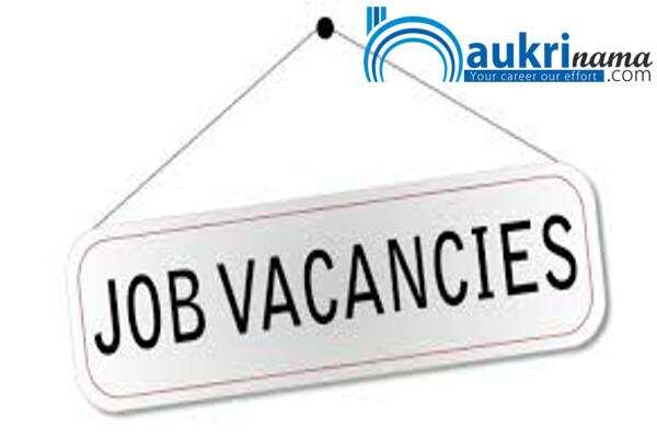 जॉब डाइजेस्ट 12 August 2020:-एक बार फिर उत्तराखंड सरकारी ने निकाली हैं चिकित्सक के पदों पर ढेरों भर्तियां, पूरी जानकारी के लिए यहां क्लिक करें