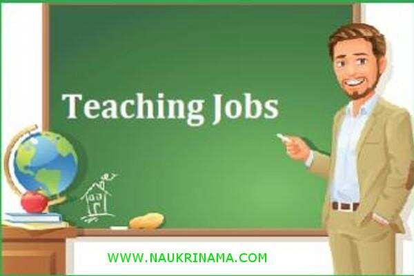 जॉब डाइजेस्ट 04 April 2019- कम्प्यूटर ऑपरेटर,ऑफिस अस्सिटैंट, ड्राइवर, वॉचमैन के पदों पर 8वीं और 10वीं पास युवाओं के लिए ऩिकली भर्तियां, वक्त रहते आवेदन करें