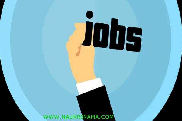 जॉब डाइजेस्ट 01 August 2019- नर्सिंग में डिप्लोमा धारक युवाओं के लिए निकली बम्पर भर्तियां, नौकरी के साथ जीवन बीमा फ्री