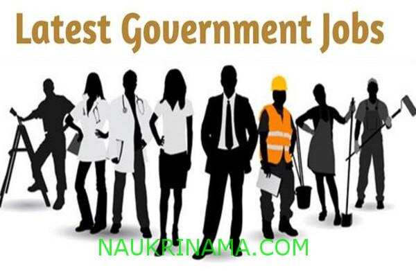 जॉब डाइजेस्ट 03 अगस्त 2019 :- इस विभाग में विभिन्न पदों पर निकली भर्तियॉ, युवाऔं के पास है बेहतर मौका सरकारी नौकरी पाने का