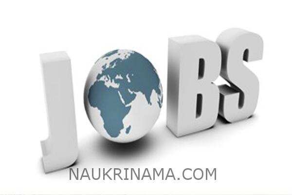 जॉब डाइजेस्ट 23 अप्रैल 2019 :- मेडिकल, विभाग, डॉक्टर, नर्स,एम्स में विभिन्न पदों पर निकली भर्तियॉ, जल्द करें आवेदन