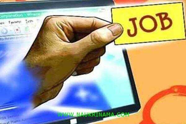 जॉब डाइजेस्ट 21 August 2019- अगर इस मौके को हाथ से जाने दिया तो, आप वंचित रह सकते है सरकारी नौकरी प्राप्त करने से