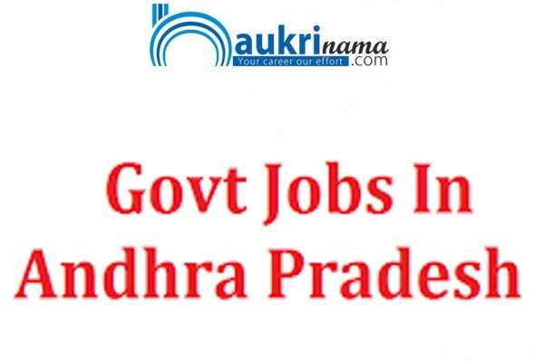जॉब डाइजेस्ट 22 September 2020- आंद्र प्रदेश के इस सरकारी विभाग में निकली CA पास के लिए भर्तियां, आप अभी करें आवेदन