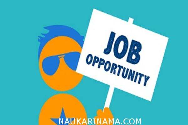 जॉब डाइजेस्ट 18 March 2019 -स्नातक पास के लिए यूपीएसससी,रेलवे,नौसेना,बिजली विभाग में निकली हज़ारों पदों पर भर्तियां,करें जल्द आवेदन