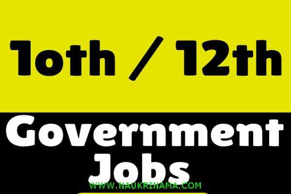 जॉब डाइजेस्ट 23 June 2020:- रोजगार ग्राम सेवक के पदों पर यहां निकली हैं भर्तियां, 12वीं पास युवा करें आवेदन