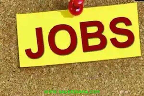 जॉब डाइजेस्ट 1 June 2020:- प्रोफेसर, सहायक प्रोफेसर और अन्य विभिन्न टीचिंग पदों पर निकली भर्तियां, अनुभवी करें आवेदन