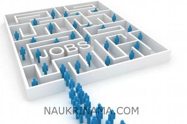 जॉब डाइजेस्ट 24 जुलाई 2019 :-  इस विभाग ने सरकारी पदों पर युवाऔं को दी छूट, आप भी आवेदन कर पा सकते छूट का लाभ