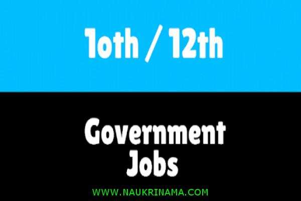 जॉब डाइजेस्ट 11 March 2020- 12वीं, 10वीं, 5वीं पास के लिए एक नहीं कई पदों पर निकली बम्पर भर्तियां